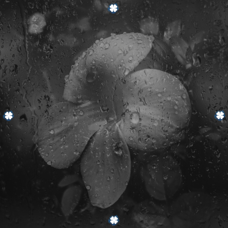 track-artwork