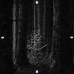 track-artwork