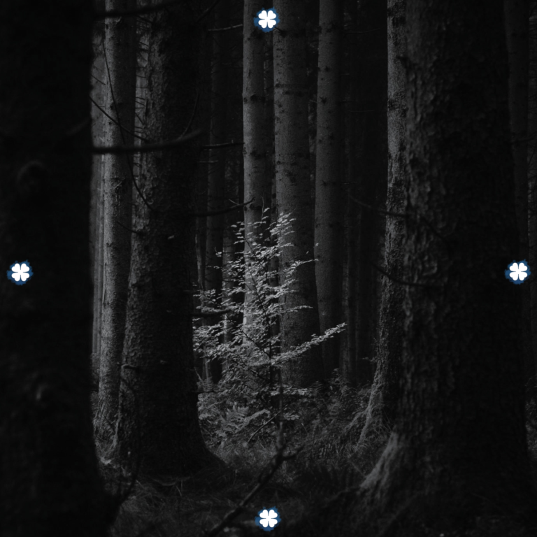 track-artwork